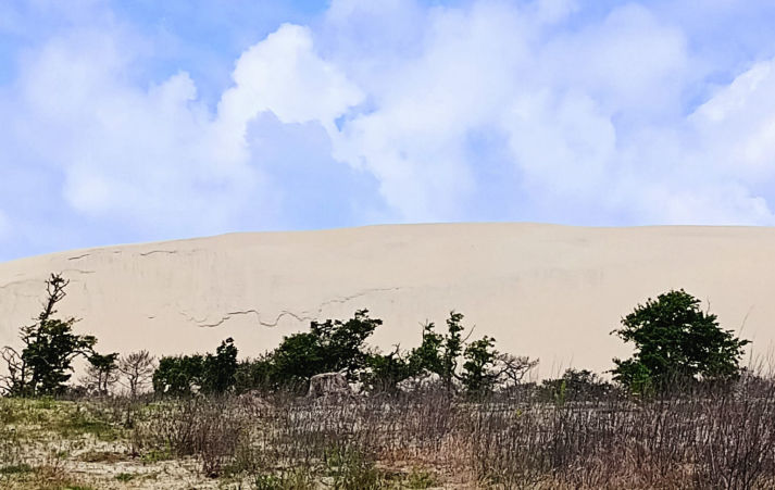 Un viaje, un cuento